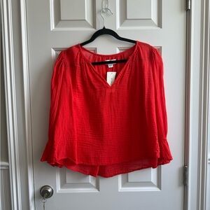 Velvet by Graham Spencer Blouse